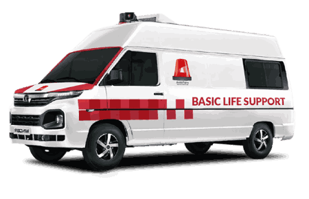 Basic Life Support